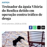 Photo by João Neto (@joao_neto_2)