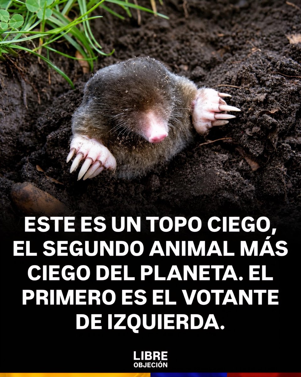 derecha_real's tweet photo. @El_Plural El mismo que tiene a su familia y socios condenados y acusados por corrupción? https://t.co/n76Pb9e0mw