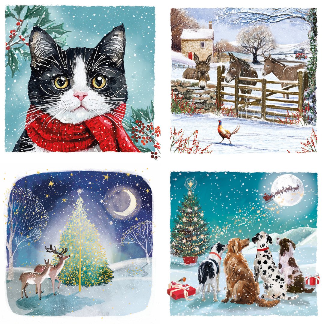 Raystede's tweet photo. Raystede Christmas Cards are on sale! 

There are five designs to choose from at £3.95 per pack of 10. Available to purchase from all our charity shops and online at https://t.co/X13yak1Ctw 

All proceeds go directly towards caring for the animals at Raystede. https://t.co/pV9jQarjUn