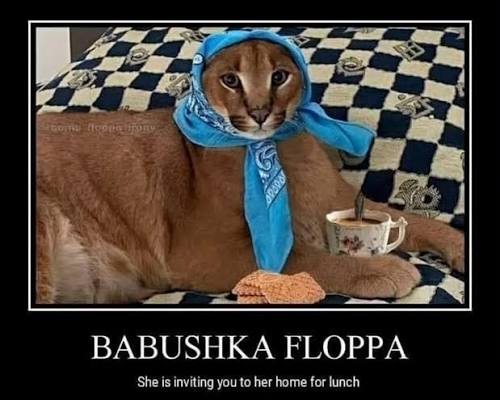 floppadorable's tweet photo. @FloppaOnFleek https://t.co/ljyaFKDsD1