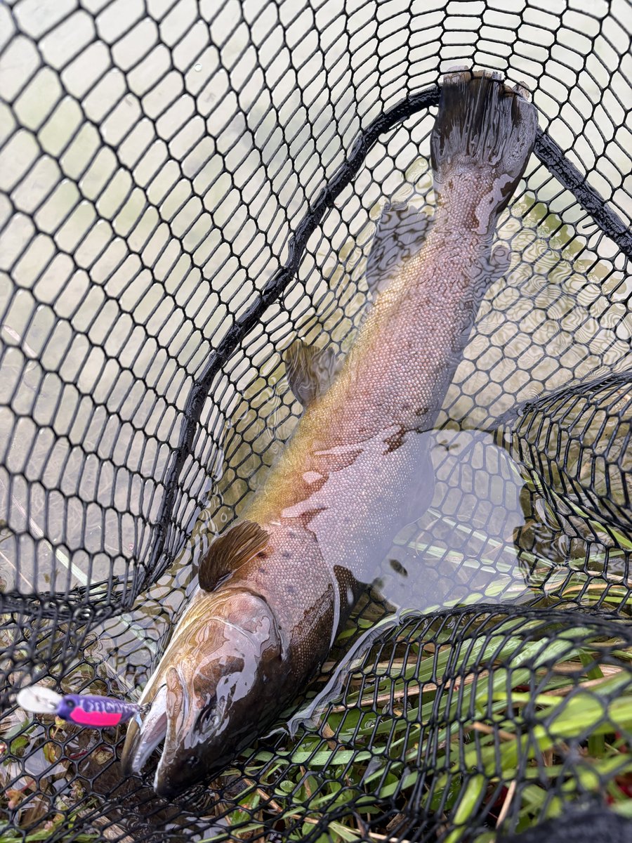 nobi_trout's tweet photo. 5日ぶりの槍リベンジマッチ、惨敗。
弄ばれて楽しかったです。
またいつか遊んでください https://t.co/gwHcXwz9oI