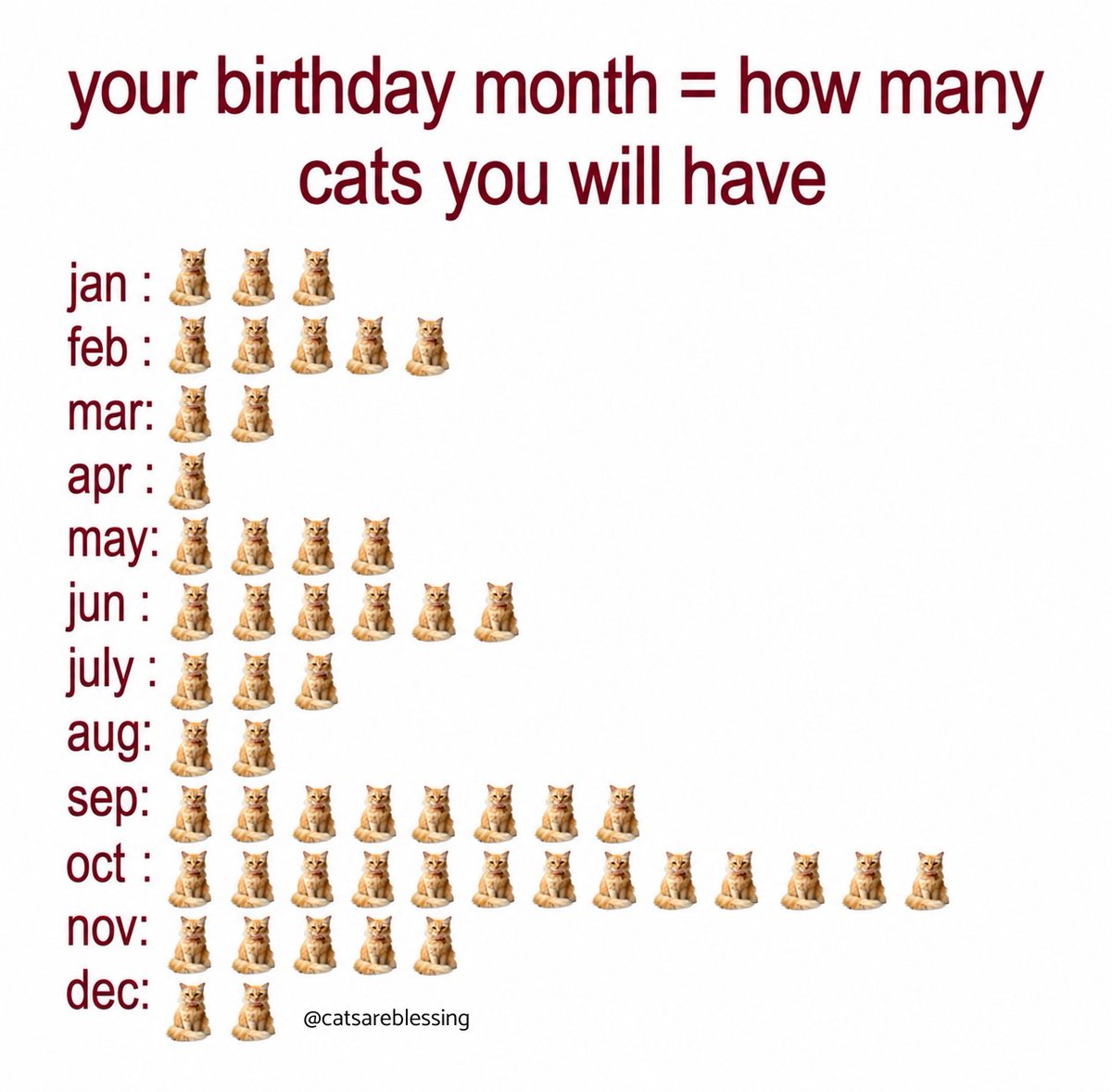 catsareblessing's tweet photo. https://t.co/kxG8FAxJKQ