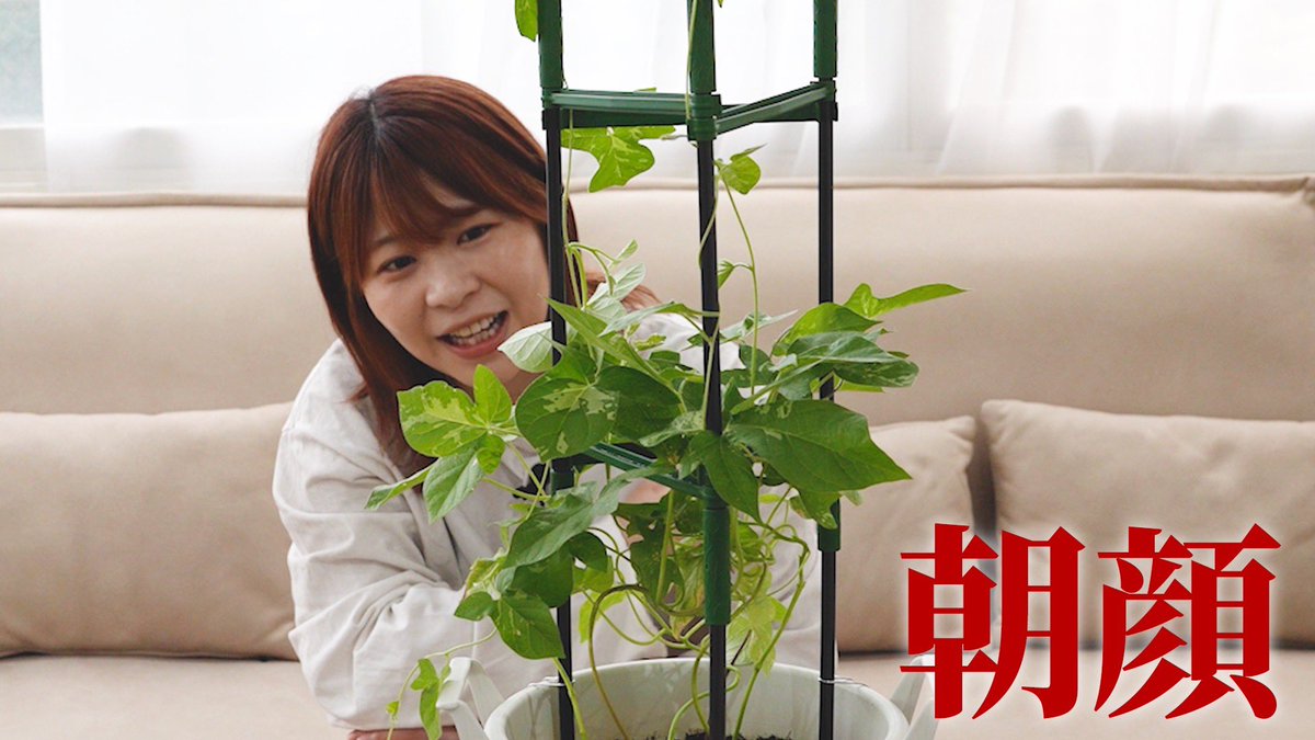 amasso_official's tweet photo. ✨️YouTube更新✨️

Aマッソ公式YouTube
新しい動画を公開しました🌱

思い出話で花を咲かせる
https://t.co/XKE5xj2XwM https://t.co/7p2DtnHl80