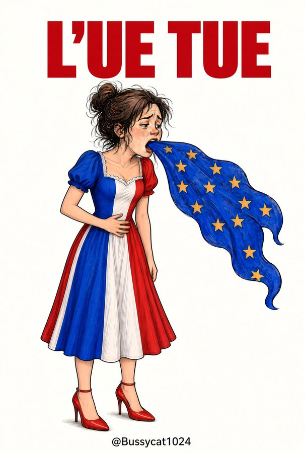 jlavieville's tweet photo. Je suis français et l'UE est mon ennemi https://t.co/kCRfrDSkWc
