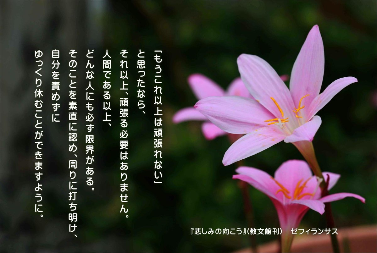 hiroshisj's tweet photo. 「もうこれ以上は頑張れない」
と思ったなら、
それ以上、頑張る必要はありません。
人間である以上、
どんな人にも必ず限界がある。
そのことを素直に認め、周りに打ち明け、
自分を責めずに
ゆっくり休むことができますように。

『悲しみの向こう～希望の扉を開く言葉366』（教文館刊）
◆Amazon https://t.co/1qCd3QOlht
◆教文館 https://t.co/2AxPlGrsqp