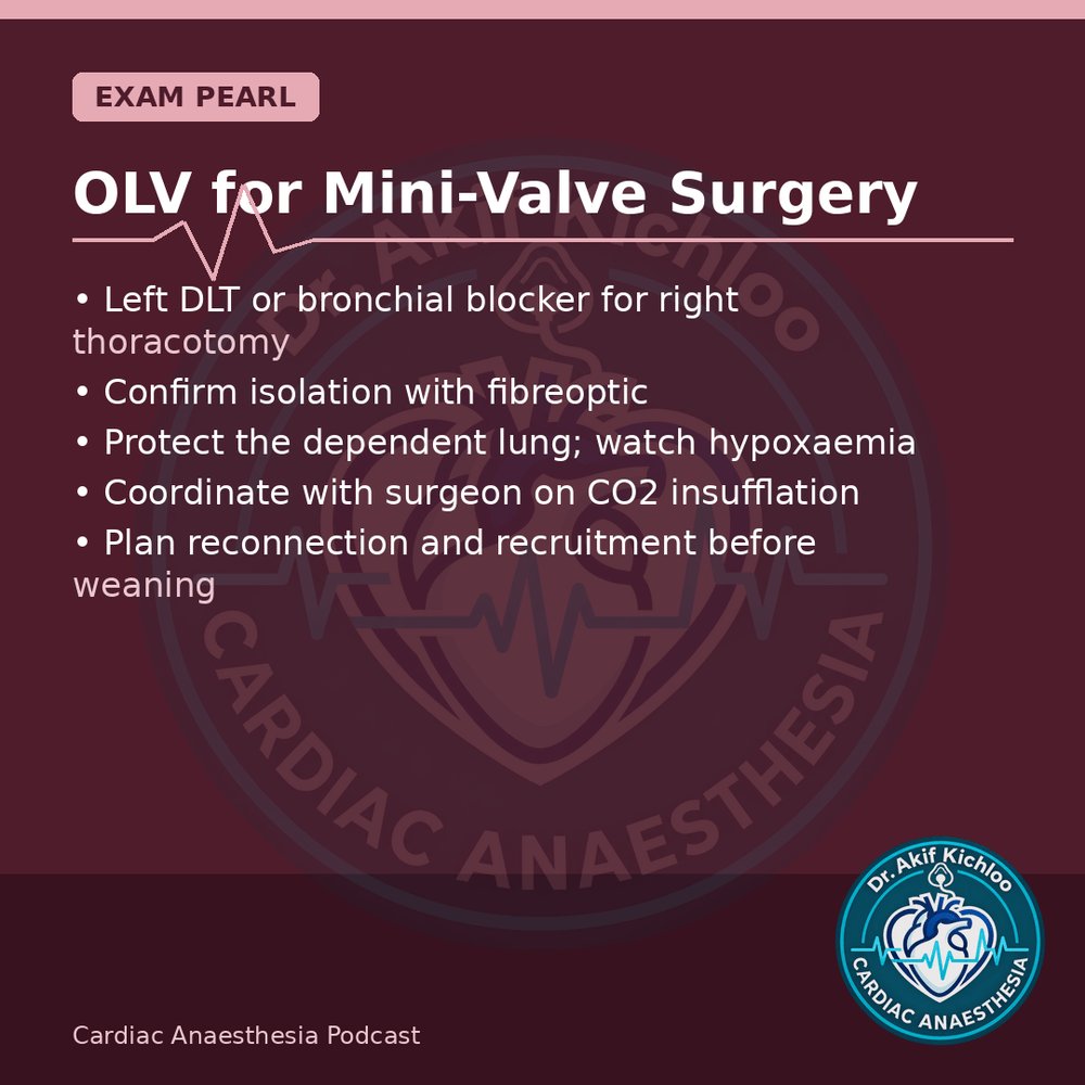 akifkichloo's tweet photo. RV, PHT &amp; Air
Milrinone vs dobutamine, PHT crisis, OLV for mini-valve, de-airing.
Cardiac Anaesthesia Podcast
#CardiacAnaesthesia #CardiacAnaesthesiaPodcast #MedEd #CardiacOR https://t.co/RZ94JU464p