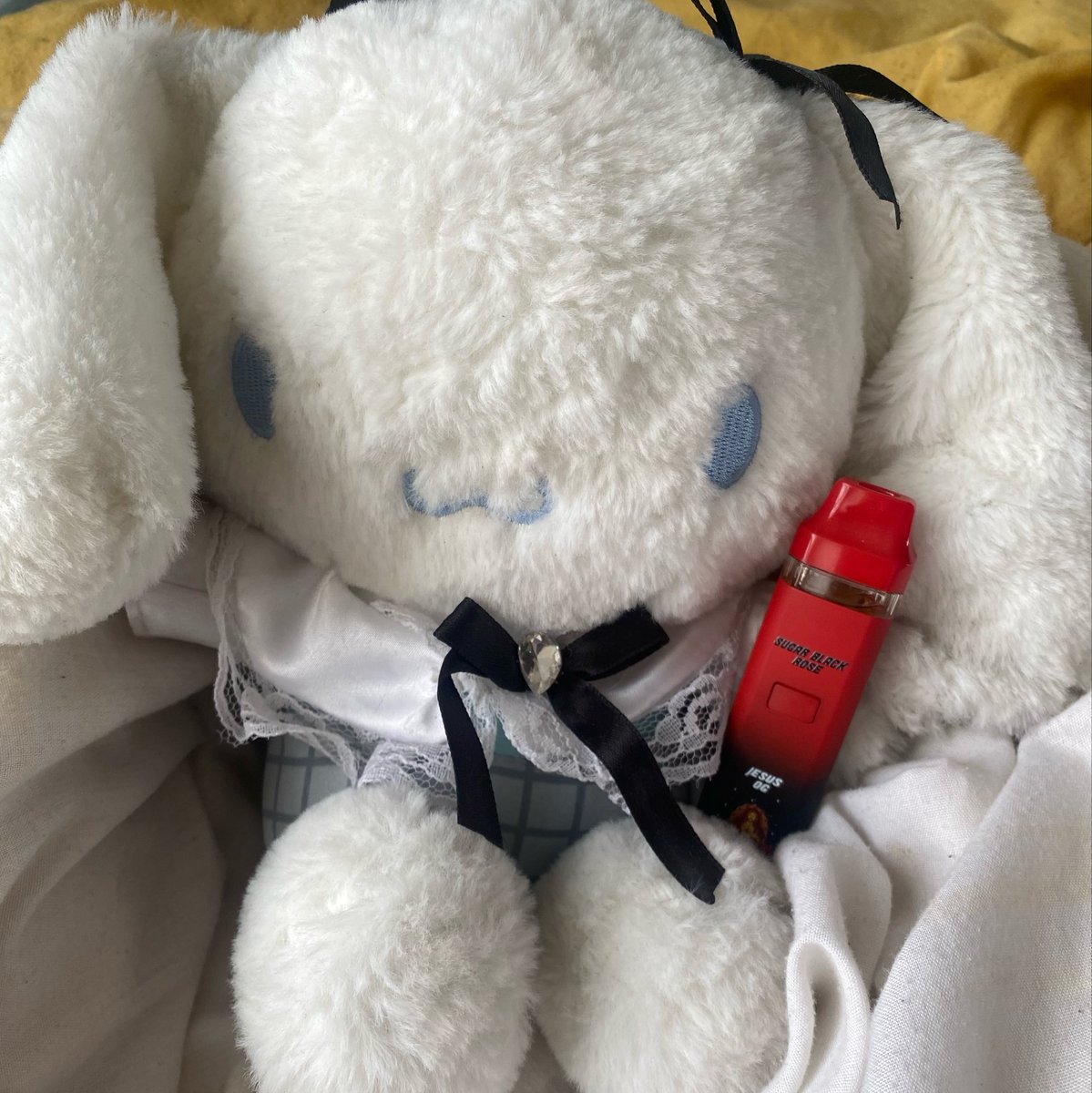angellf4ith's tweet photo. cinnamoroll no this isnt u.. https://t.co/ou5ThFeJeD