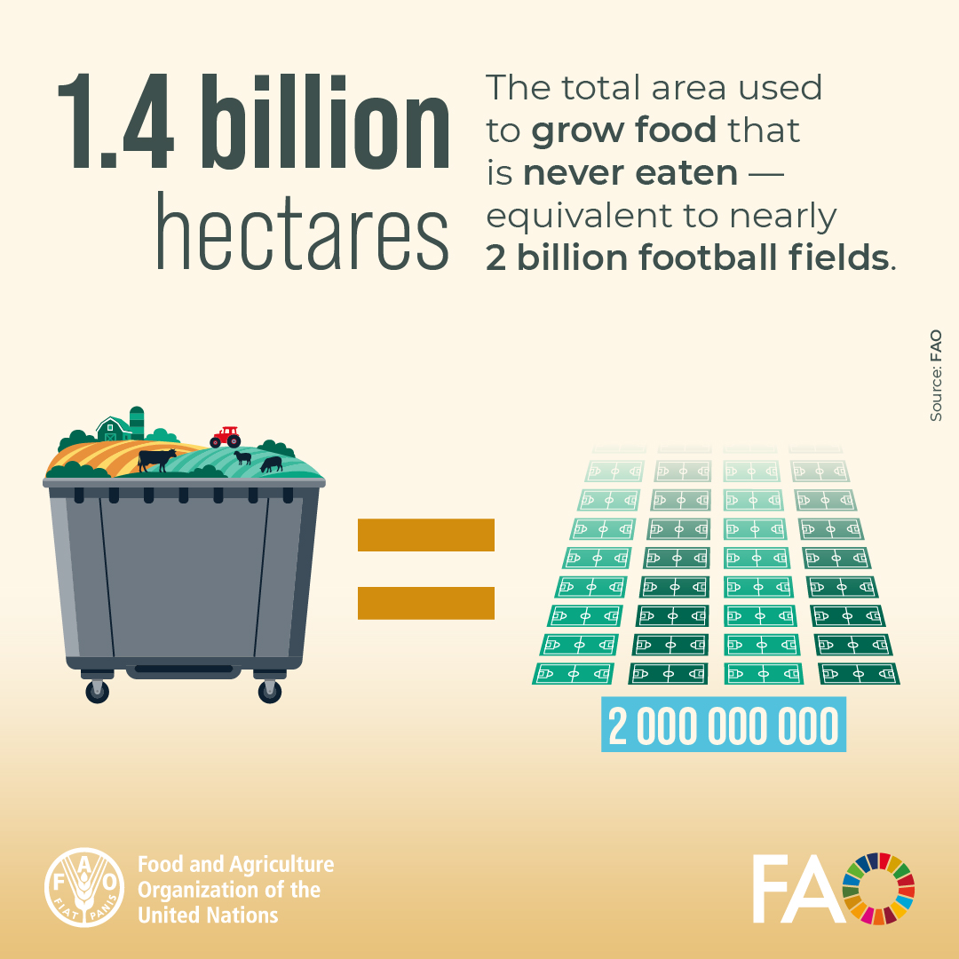 FAO's tweet photo. What do 1.4 billion hectares look like? Nearly 2 billion football fields.  

That's the total area used to grow food that's never eaten!  

Each one of us must act now to cut #FoodLoss and #FoodWaste.
 
#FLWDay #COFO28 https://t.co/VJxS3drIm4