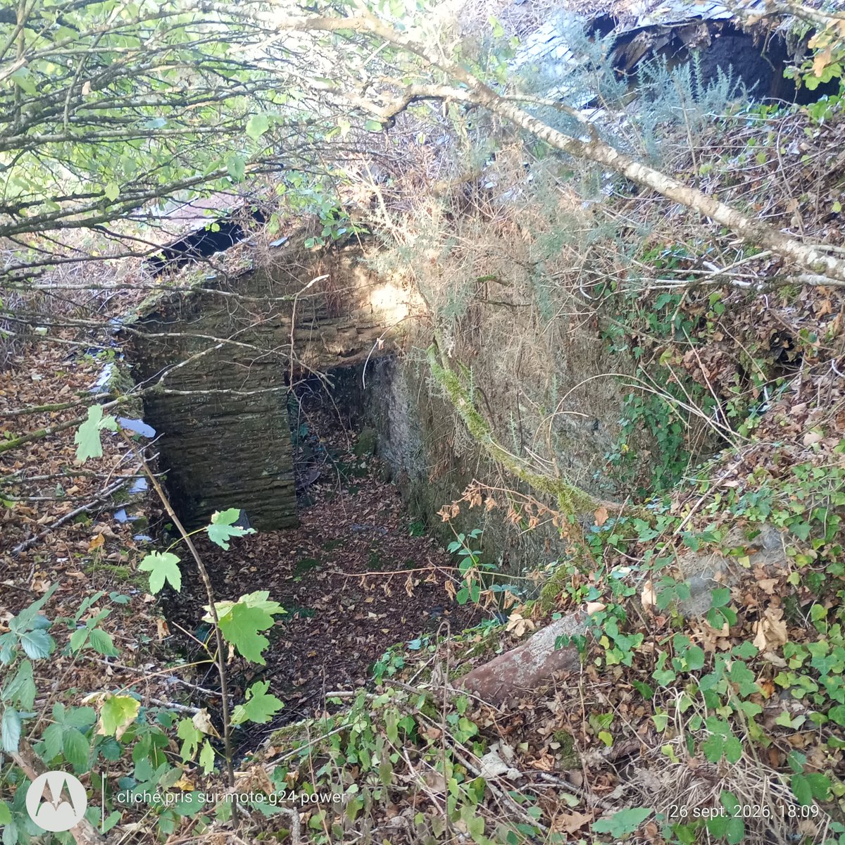 ThiChaplain's tweet photo. Cela ressemble à une #soue à #cochons, elle se trouvait à proximité de la maison. Les traces d'une #ruralité disparue à proximité d'un chemin balisé de #randonnée. La #charpente n'existe plus et les #ardoises sont au sol. https://t.co/iIkj3CNOjf