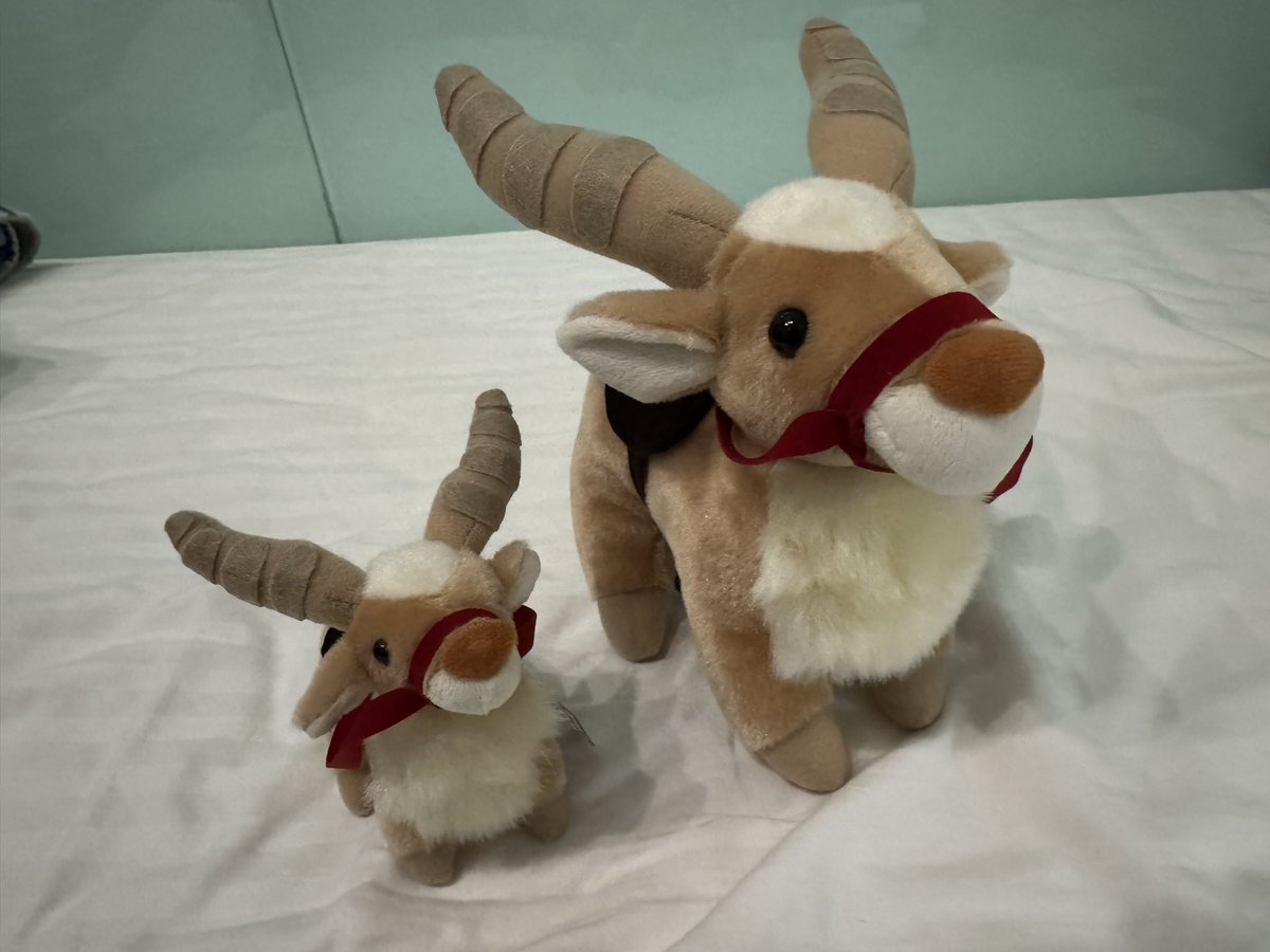 2467minato's tweet photo. ジブリパークで買う予定なかったんだけど
かわいすぎてお出迎えしちゃったので見て欲しい https://t.co/u6DWDAKFPc