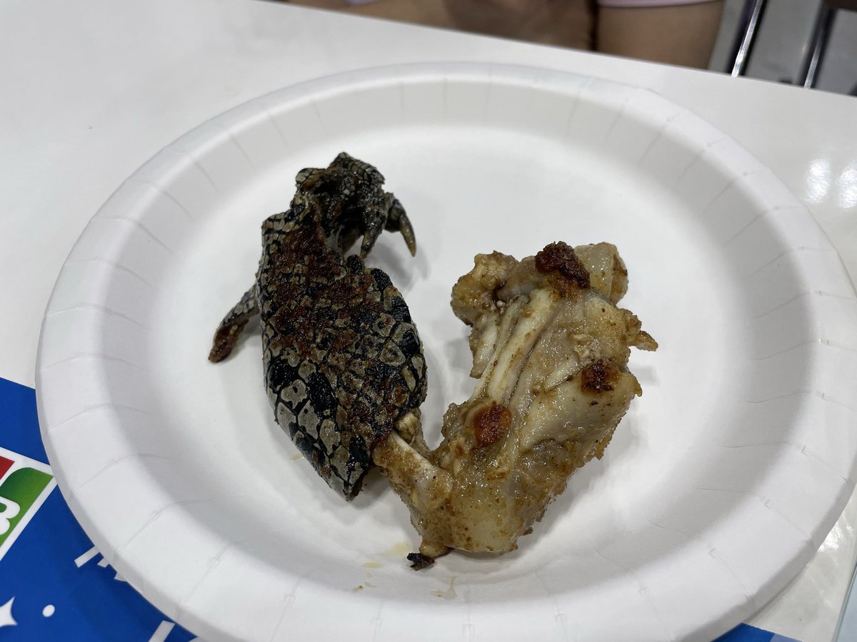pal_suet's tweet photo. 今日の目的達成。
謎の肉🐊 https://t.co/iPIoBMudP4