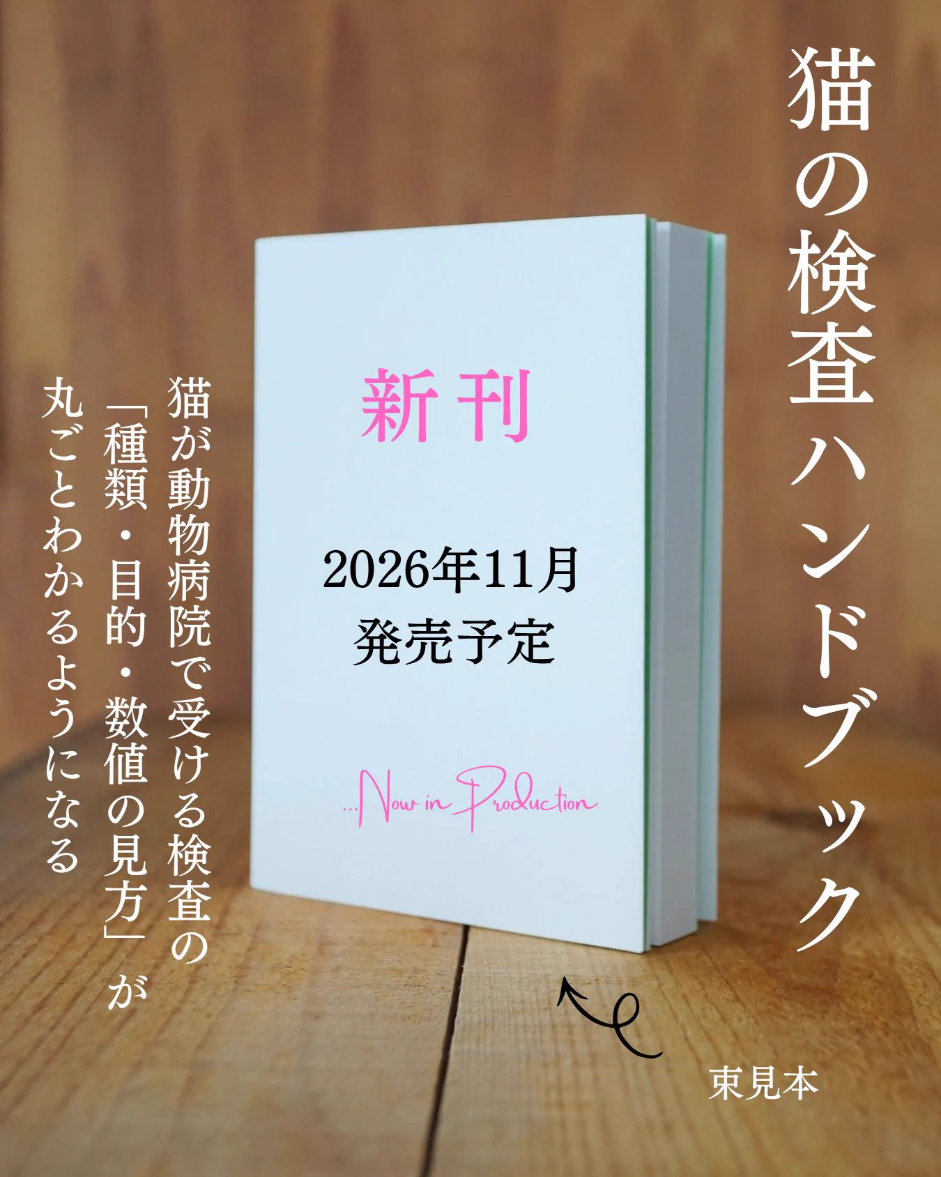 ねこねっこ🐈 猫の本専門出版📚 on X: 