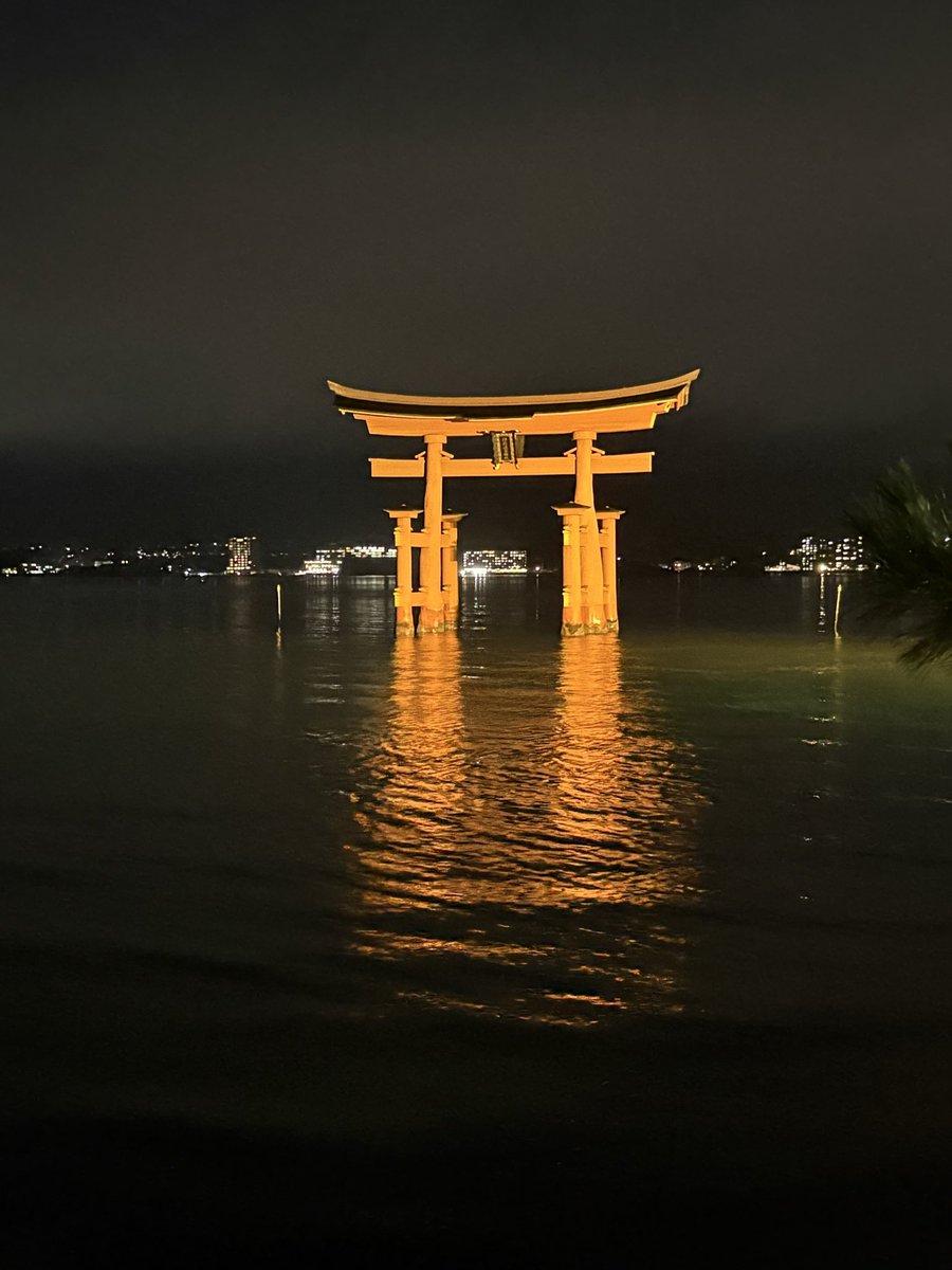 Nani_iLow's tweet photo. 夜の大鳥居、幻想的ですね https://t.co/MqtA1Rgnnh