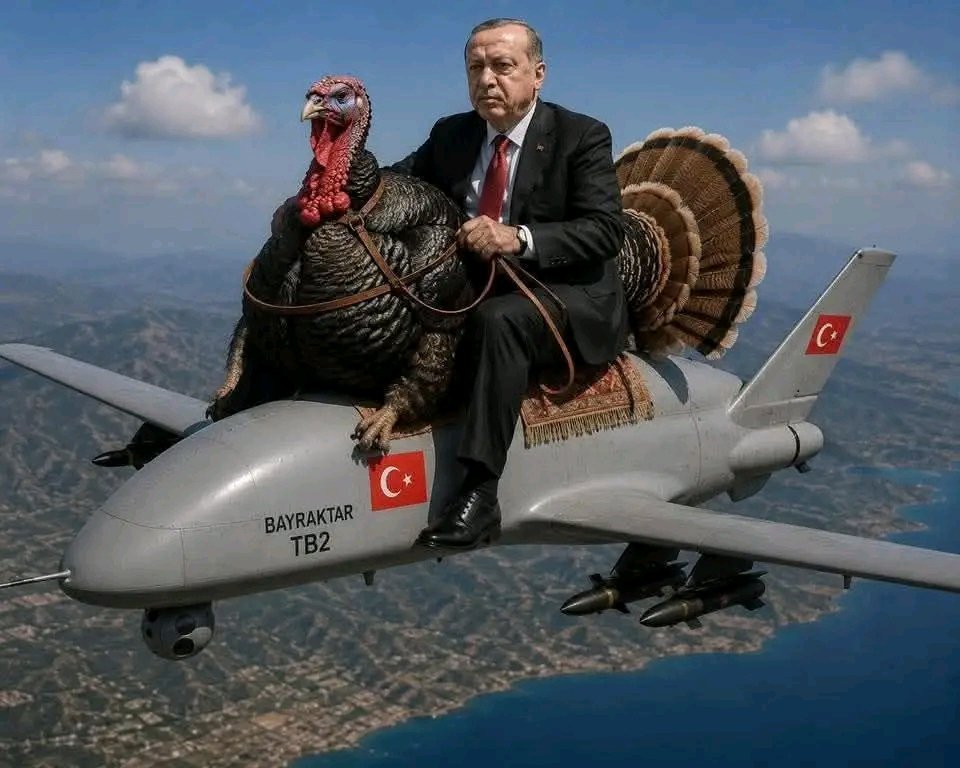 yperionas666's tweet photo. @RTErdogan https://t.co/squdq6dB6F