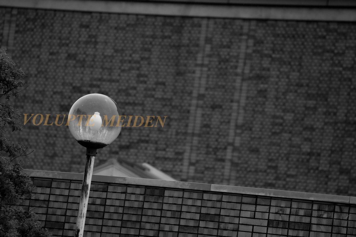 abilityrain2 tweet picture