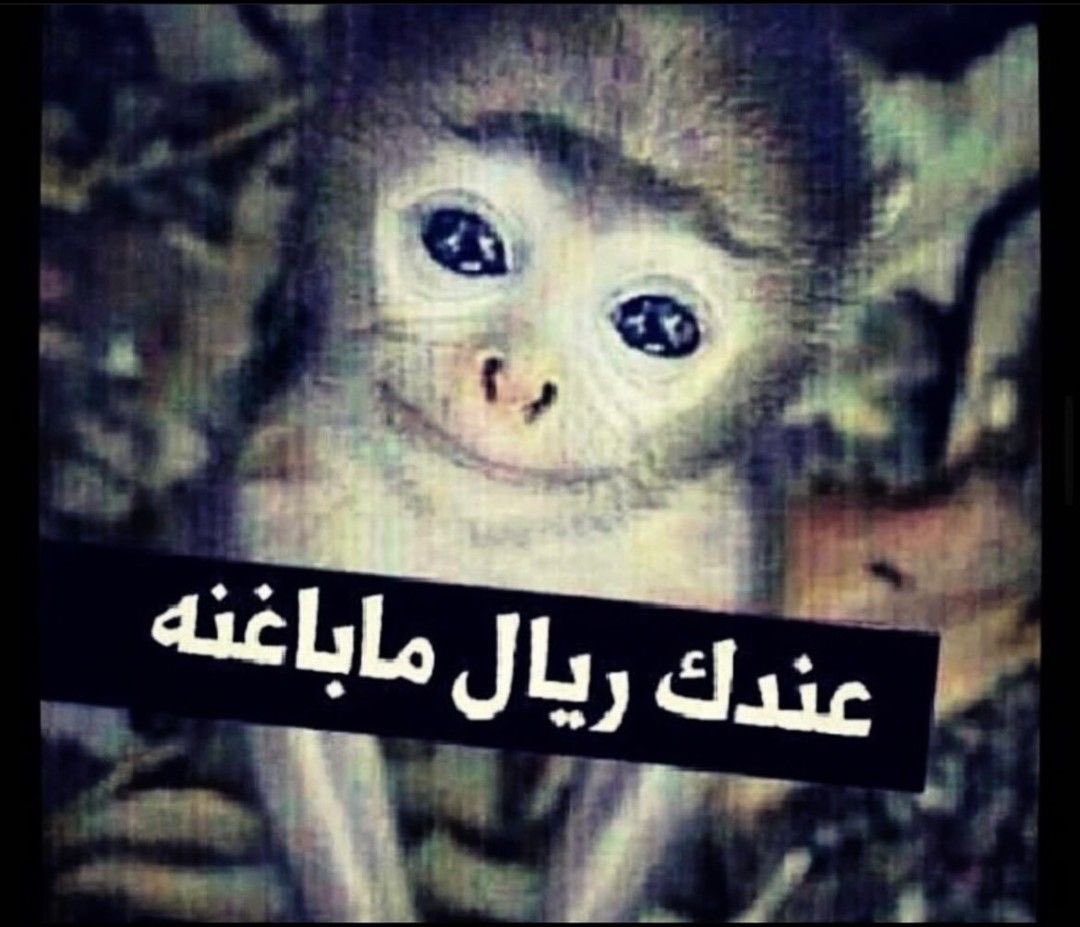 super1zezo's tweet photo. انا عند ابوي اول مانزل الراتب 🌚 https://t.co/1mAy7AJIhn