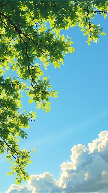 EmmaKingsleu's tweet photo. 最近ハマっていることは、自家製のパクチー栽培です。ベランダで簡単に育てられるし、好きなタイ料理によく使うので重宝しています。 https://t.co/iPr8WY00Tm