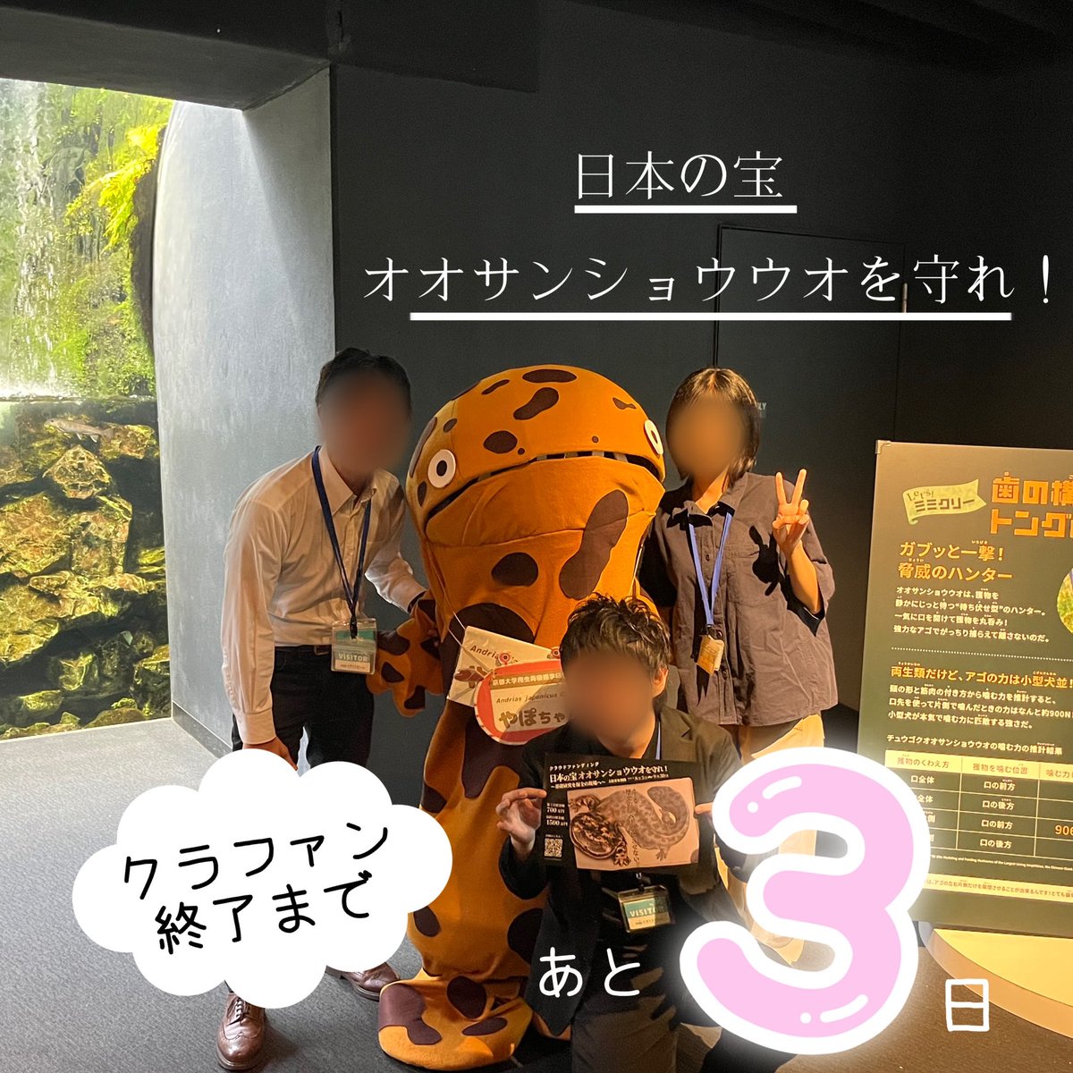 nishikawa_lab's tweet photo. 【#オオサンショウウオ クラファン終了まで残り3日🔥】

みなさんのご支援のおかげで現在の支援総額は95%の665万��を突破しました✨本当にありがとうございます( ՞߹ – ߹՞ )❤️‍🔥

目標達成のために最後までみなさんの力を貸してください‼️

クラファンURLはこちら⤵︎
https://t.co/4eDy4iHzv8 https://t.co/y9YWYGgjUy