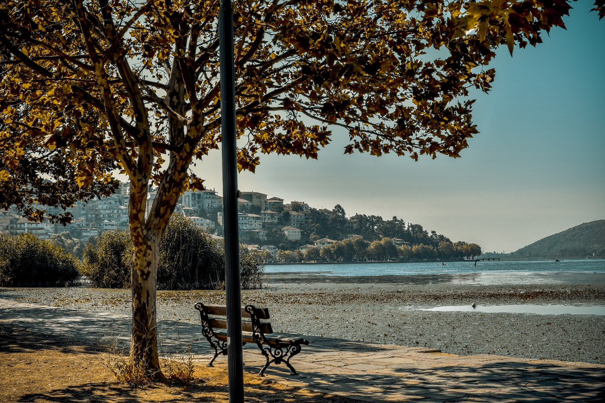 benjaedwar71287's tweet photo. By the lake https://t.co/zkkZTu9rBx