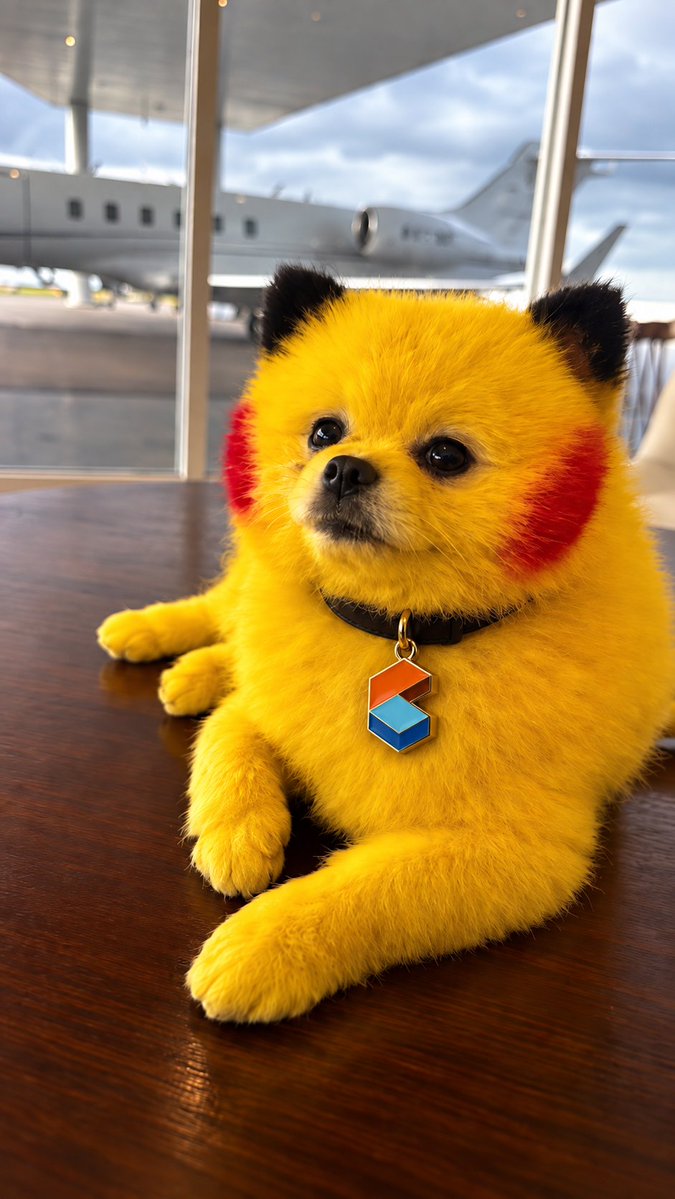 cryptopilot16's tweet photo. @sjdedic pokemon -> solana:CARDSccUMFKoPRZxt5vt3ksUbxEFEcnZ3H2pd3dKxYjp -> solana:8QCZSz8Ae34ubN6oTqCTLmihQBTKEwDKDR7fti4upump @Zaza_Pikachu 👀 

trickle trickle ... https://t.co/LofoQpswO4