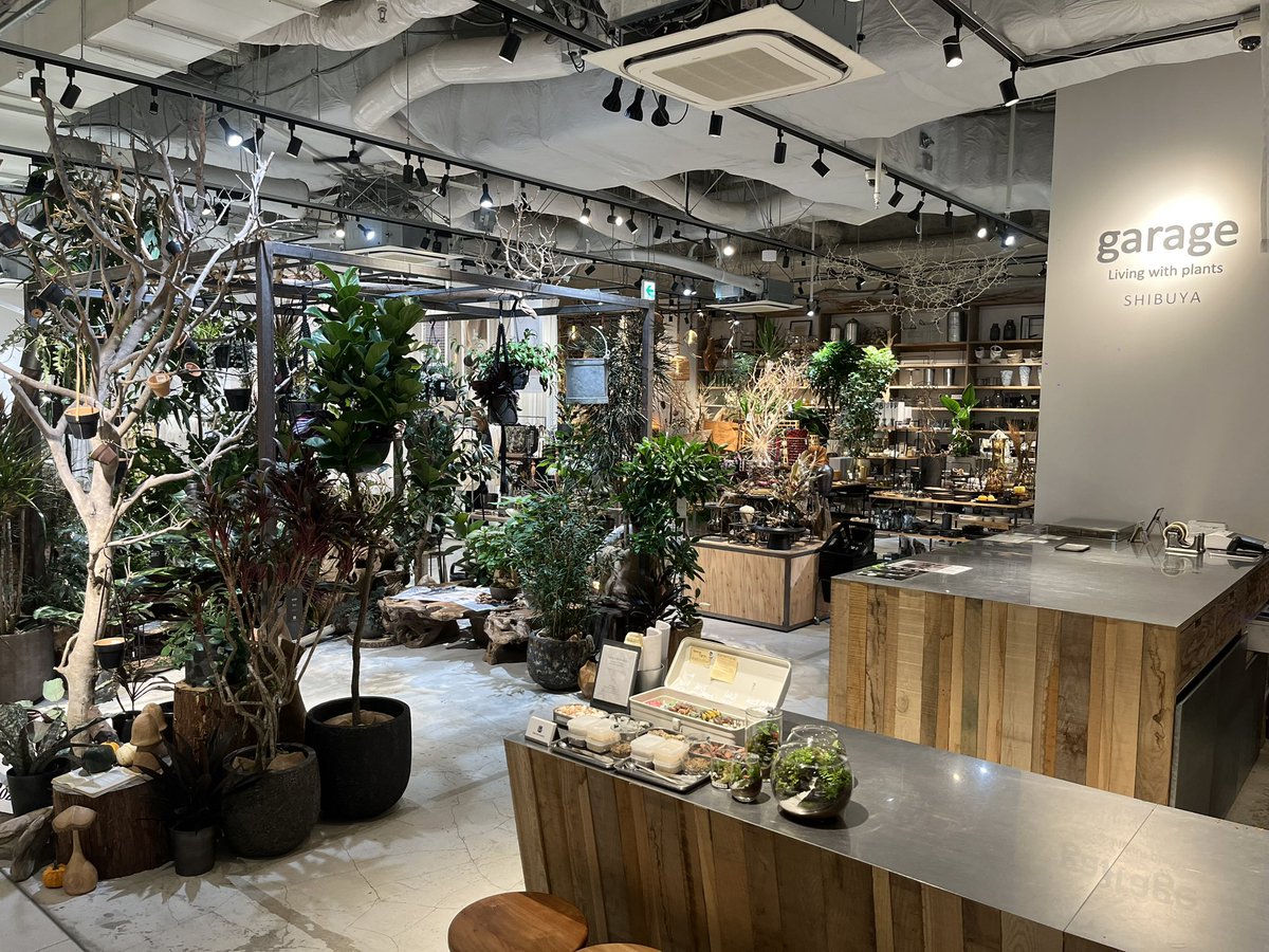 mtsmtmt's tweet photo. 園芸店 https://t.co/CFF0q9dpXS