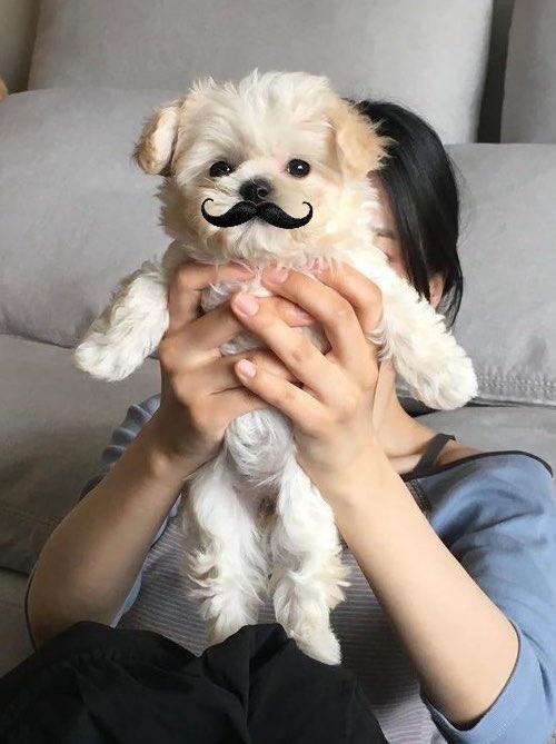 mikgiyou's tweet photo. หนุมะมีใบขับขี่ หนุแง๊นรถไปหึงแม้ะถึงทิ่นุ่นนนนมะดั้ยนะ! 😠 https://t.co/f7Q3RgKEC8