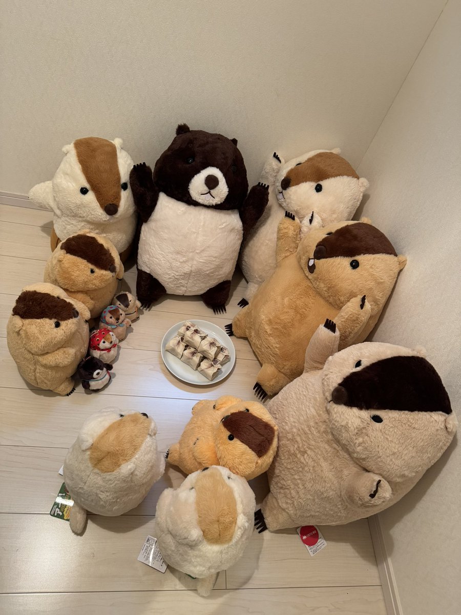 mamomin_aaa's tweet photo. 歓迎会だアーーー！

#マーモットのもっとっと
#マーモットのもっとっと広場 https://t.co/Z2f2WtQXuc