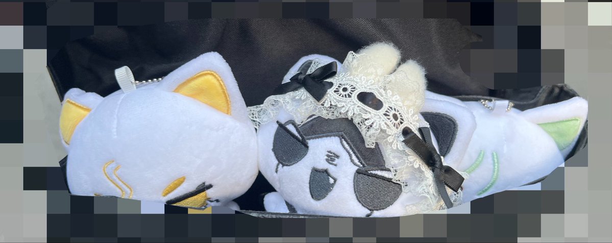 OiIO77777's tweet photo. 超可愛😭😭😭 https://t.co/RSjlaPbE0a
