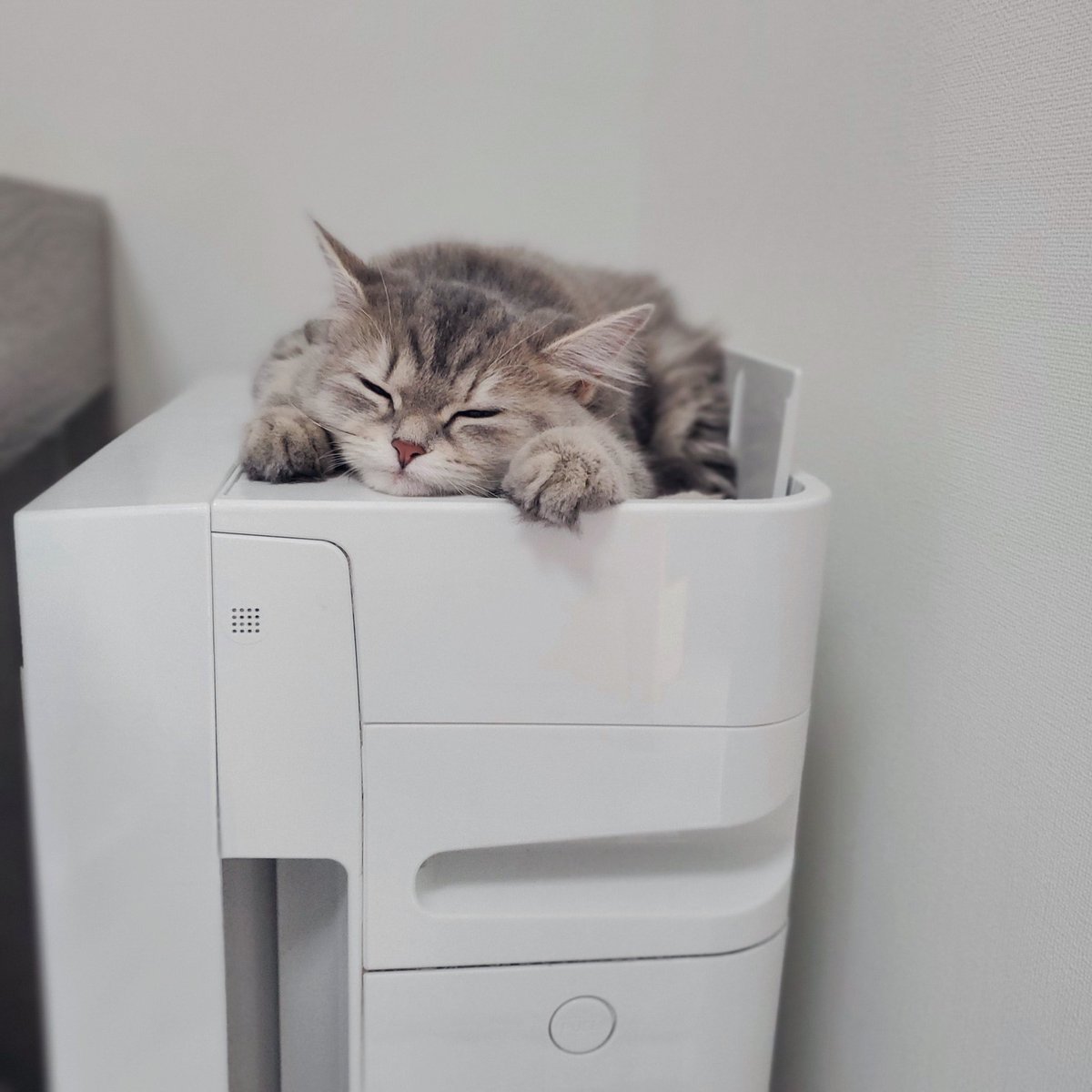 mariemugi2's tweet photo. うちの猫、空気清浄機好き過ぎるんだよな https://t.co/gM1WINLFhE