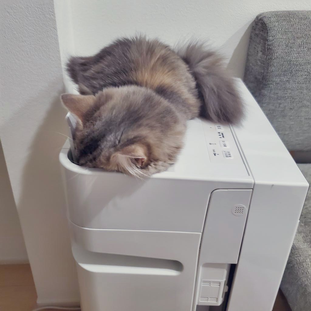 mariemugi2's tweet photo. うちの猫、空気清浄機好き過ぎるんだよな https://t.co/gM1WINLFhE