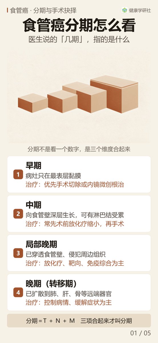 HealthResLab's tweet photo. 食管癌分期报告上的 T、N、M，到底在说什么？

简而言之，T 描述肿瘤浸润深度、N 描述区域淋巴结转移情况、M 看远处转移，三块拼齐分期才成立。
四屏讲清UICC（国际抗癌联盟）与 AJCC（美国癌症联合委员会）第 8 版 TNM 体系怎么看、哪些情况仍然可以手术、分期如何决定治疗顺序。
#食管癌 #TNM分期