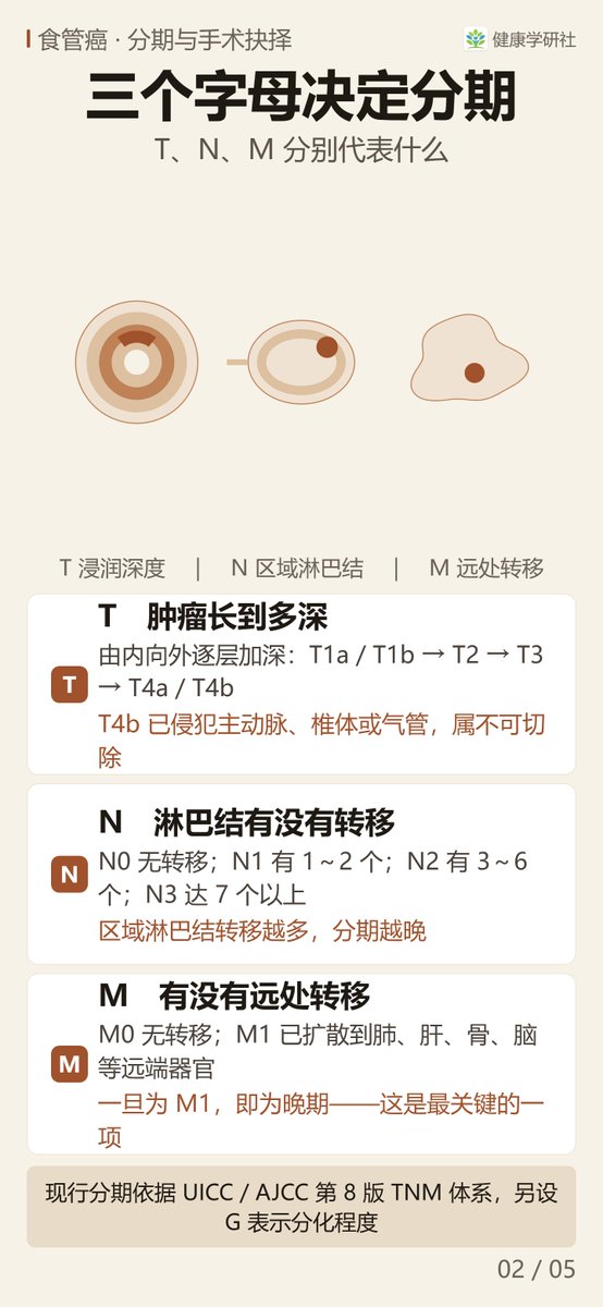 HealthResLab's tweet photo. 食管癌分期报告上的 T、N、M，到底在说什么？

简而言之，T 描述肿瘤浸润深度、N 描述区域淋巴结转移情况、M 看远处转移，三块拼齐分期才成立。
四屏讲清UICC（国际抗癌联盟）与 AJCC（美国癌症联合委员会）第 8 版 TNM 体系怎么看、哪些情况仍然可以手术、分期如何决定治疗顺序。
#食管癌 #TNM分期