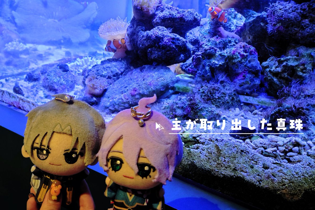 yui_mimi's tweet photo. 毎夏恒例の浴衣でお出掛け会。今年は水族館に行きました。真珠取り出し体験したりアシカショー見たり左文字似の魚見つけたり…。だいぶ涼しくなったけど夏の思い出ということで💮 https://t.co/KgHjdEAPEC