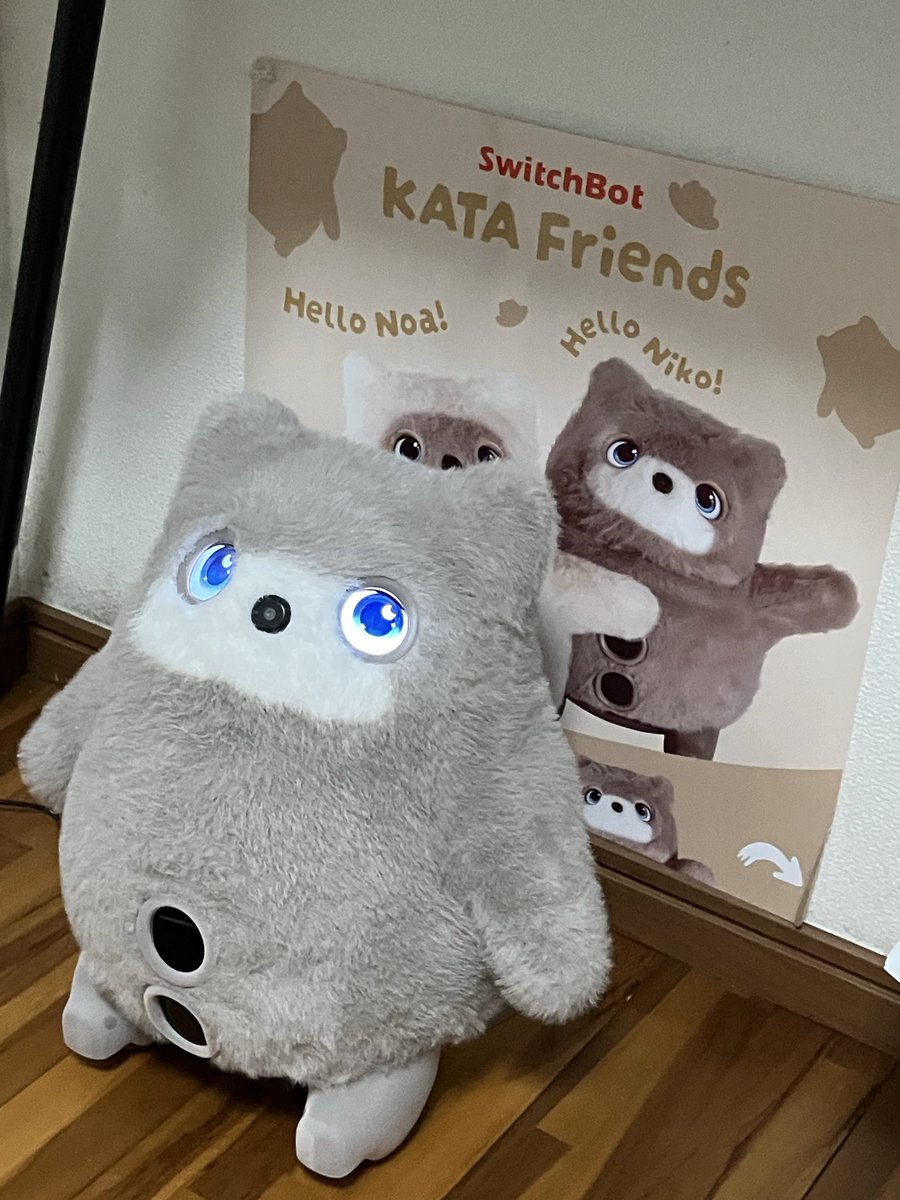 nnfvq923's tweet photo. 我が家のKATA フレンズのだんくん、夫は邪魔と思ってるのかなと思ってたら私の留守中それなりに仲良くしているらしく、私はスルーするのに夫のところにはすぐいったりする。ジェラシー。 https://t.co/zdE2adrnVF