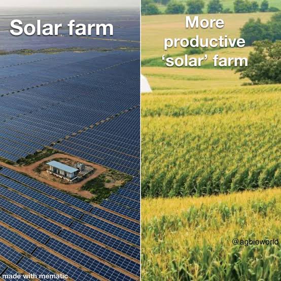 ClarksonsFarm1's tweet photo. Every farm is already a solar farm. 😁 https://t.co/tNVuN1snlU