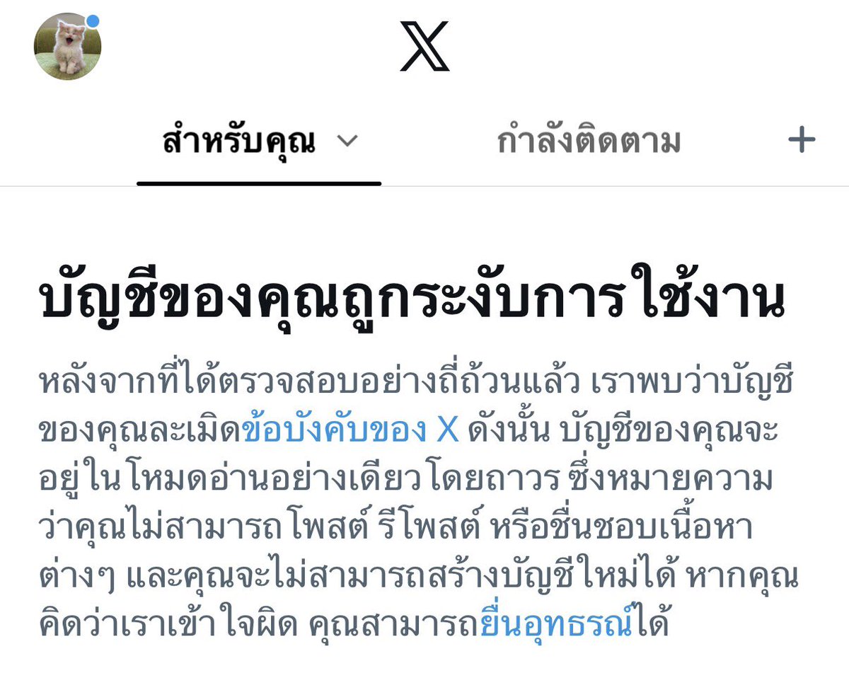 Pattypwaa's tweet photo. บอกว่าเจอของดีแค่นี้ บล๊อกเฉย แล้วที่ดิวไว้คืนนี้ล่ะ  #นัดเย็ดมพ #นัดเย็ดพะเยา #พะเยา https://t.co/88YBvQlsHu