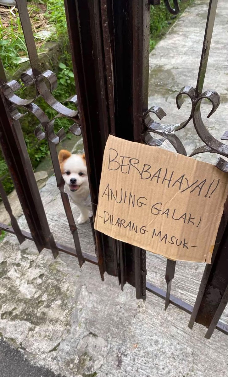 Groo_ares's tweet photo. ini pemilik rumahnya yg galak https://t.co/0FCcceZnjv