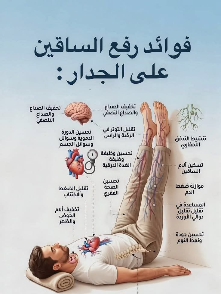 elwaaieltaby's tweet photo. #تعليق_الدراسه
#بلا_نق
#٢٠٣٠_بلا_اهل_الرياض https://t.co/7stDhExnSR
