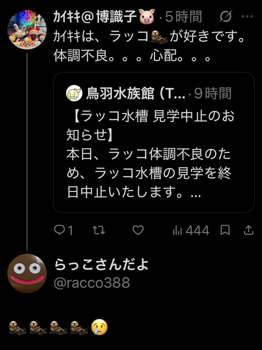 SAKANASPLATOON2's tweet photo. @tofu8amt @racco388 ラッコだったら、なんでも良いみたい https://t.co/2vJAiT3Pqf