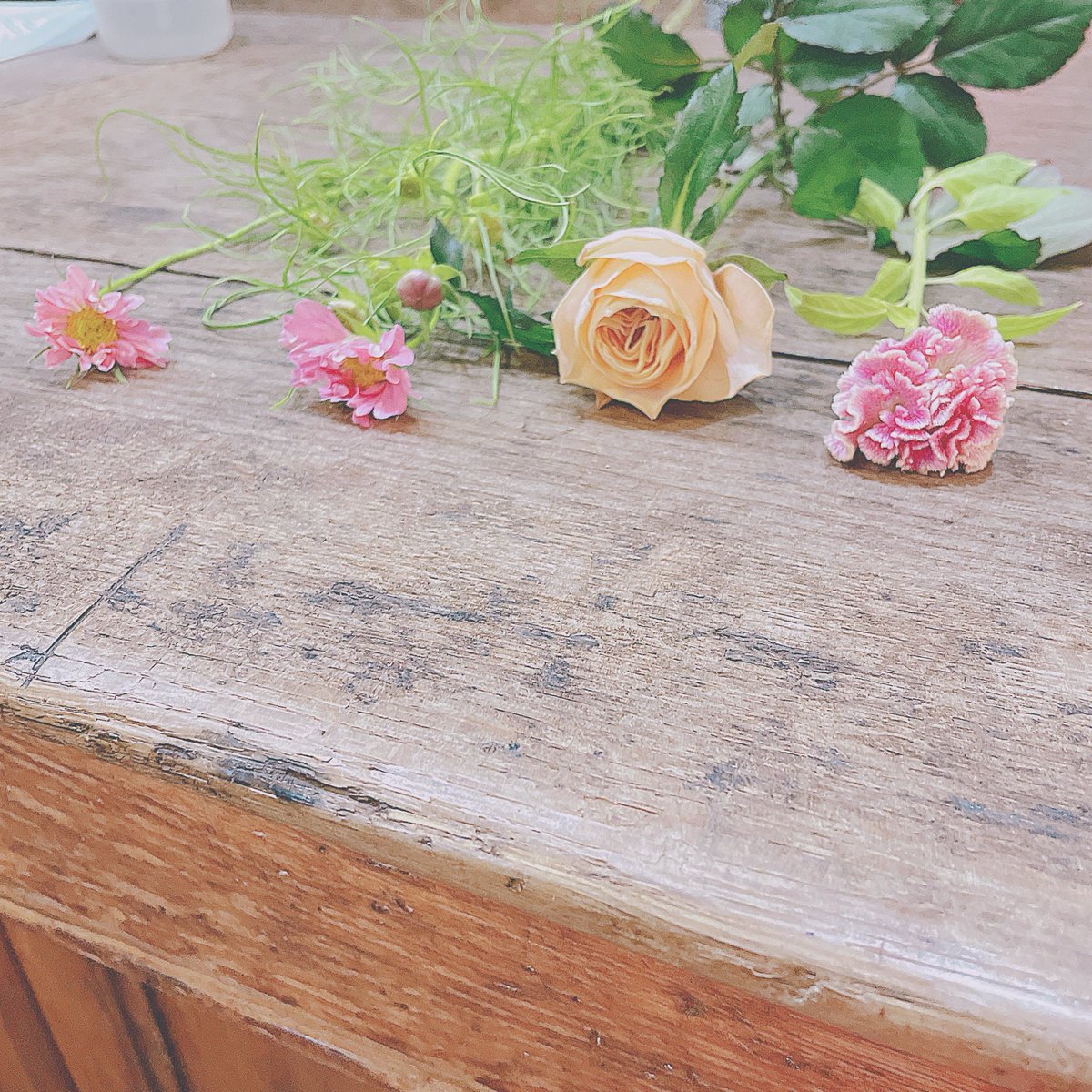 Cherrye7sy's tweet photo. かえりみち🐰 𐙚 💒✨️

お久しぶりによれてうれちいやさん🐰 𐙚 💒✨️

ひみちぅ👩‍❤️‍💋‍👩のばしょ https://t.co/j2JsxIYgwk