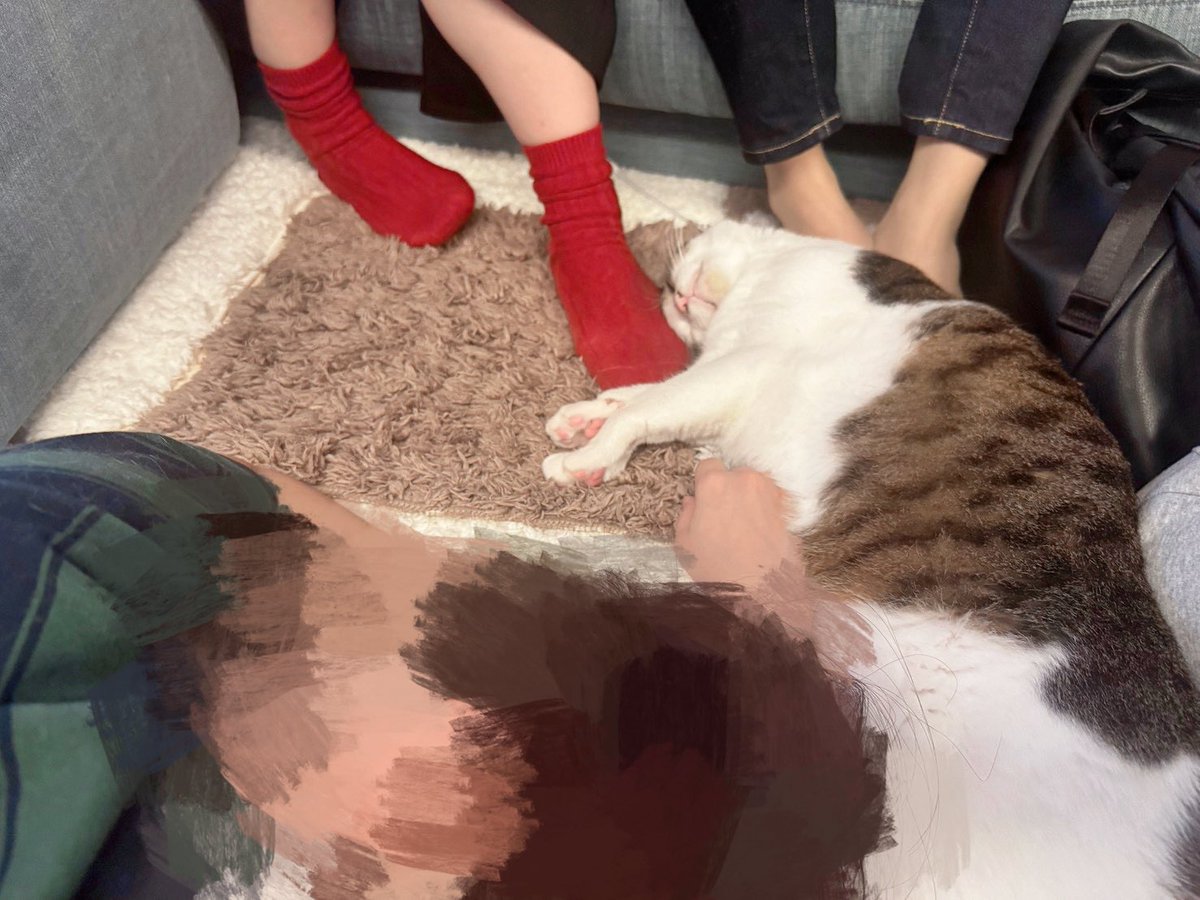 la_andromeda's tweet photo. 餃子会と猫 https://t.co/jOddtSEOYn