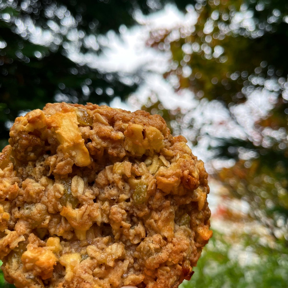 hannahjohniedj's tweet photo. For now, I think I’m over Summer House’s brown butter Rice Krispies treats. The apple oatmeal cookie is simply top-tier. https://t.co/ZM4ybzYfNW