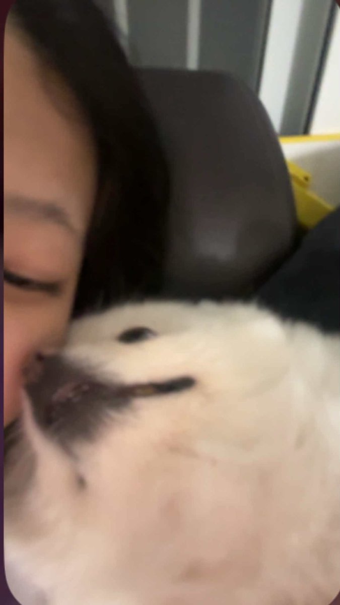 Inatsalla's tweet photo. #미자 #공팔 #ㄷㅂ #용돈
8시까지 0.5에 슴깜 선입~
영포티 ㄲㅈ고 믿는사람만 ~ https://t.co/5cwERAESqS