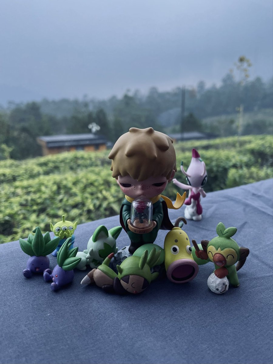 tutles__'s tweet photo. kalo nanti aku punya pacar, bakalan kuajak staycation disini. enak buat cuddle semaleman👀 https://t.co/y0SEO8T9gl