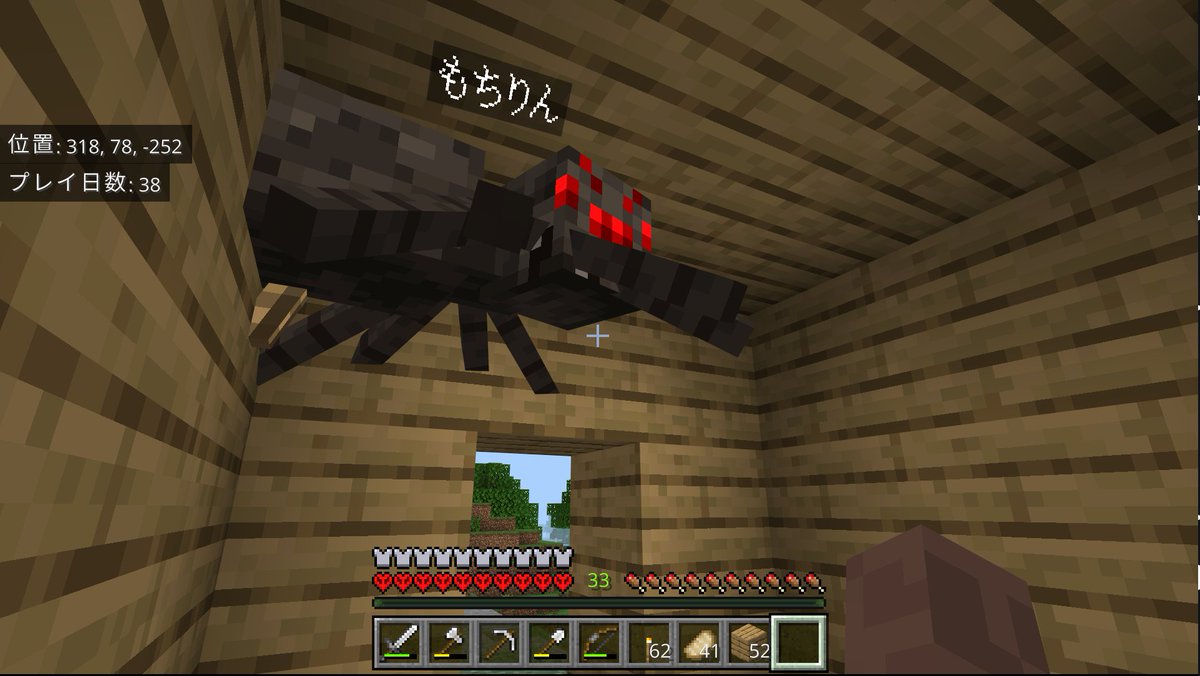 FreeSozai_kun's tweet photo. 保護グモのもちりんです https://t.co/H1GfpD6Fmf