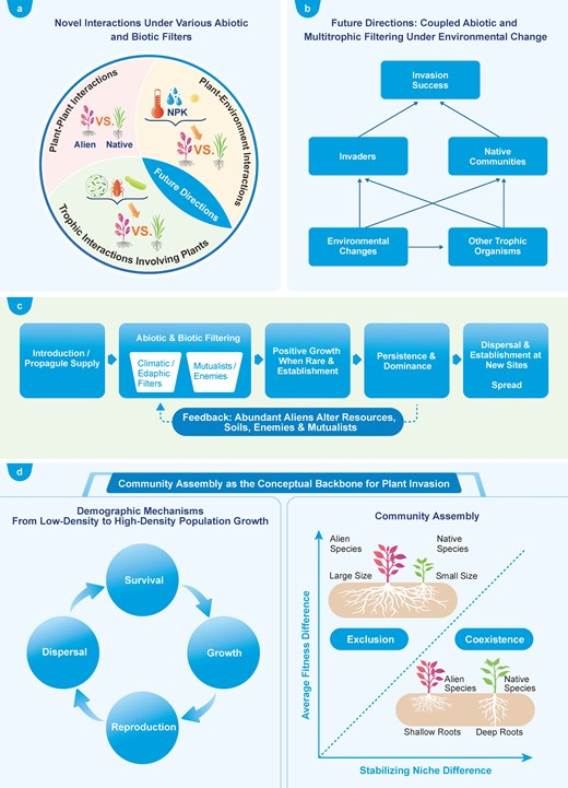JPlantEcol's tweet photo. 【🎉Latest accepted article】
Plant invasion through the lens of community assembly: Integrating traits, multitrophic interactions, and environmental change

#alien | #coexistence | #non_native | #globalchange

@CAS__Science @MaximumAcademic 

https://t.co/0h0RDEGRav https://t.co/WR2AgQ71N7