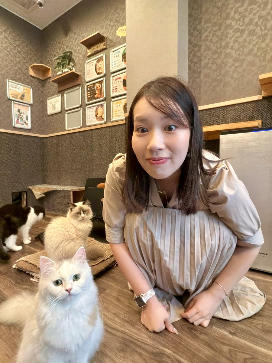 truckmeimei's tweet photo. 今までヒトリで生きてきましたが
ついに東京で「友達」ができました。 https://t.co/FOC7nRvK5h