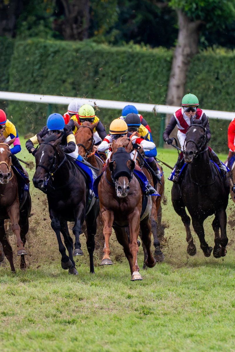 QZygbdf8L1kEB9U's tweet photo. 9歳牡馬ウインカーネリアン&amp;三浦皇成騎手

歳を重ねてもなお挑戦し続ける。
その姿勢に惹かれるんです。

#ウインカーネリアン https://t.co/pq3a6ahpvr