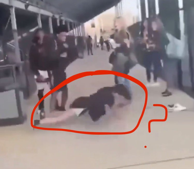 AccordingToPags's tweet photo. @fistsxfights Nigga got her doing push ups 😭 https://t.co/omD7bpd2ua