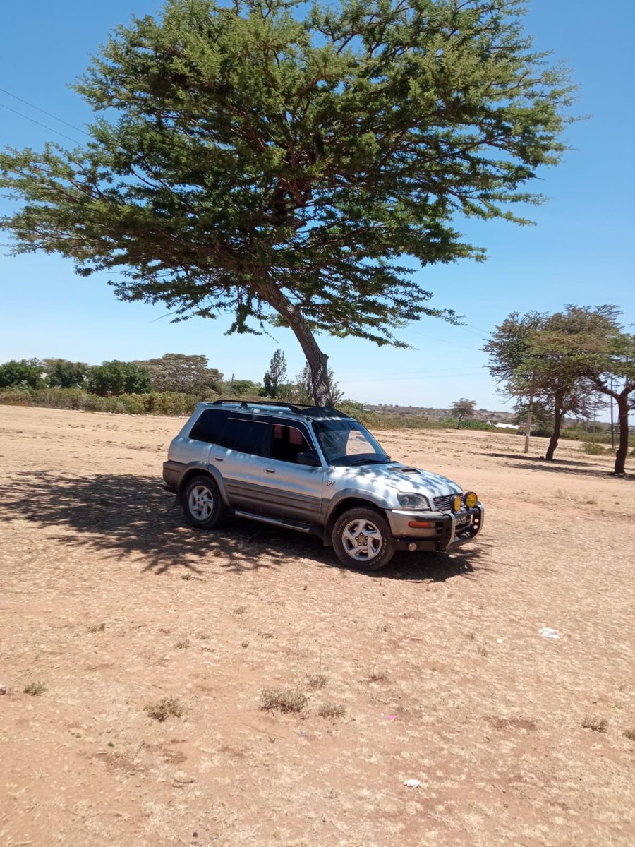 RAV4_UG's tweet photo. Aged to perfection #Rav4_drivePark&amp;Chill31stOct https://t.co/KfgiY2HSkV